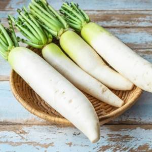  大根 