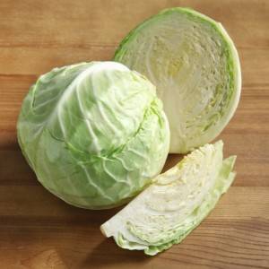  キャベツ 