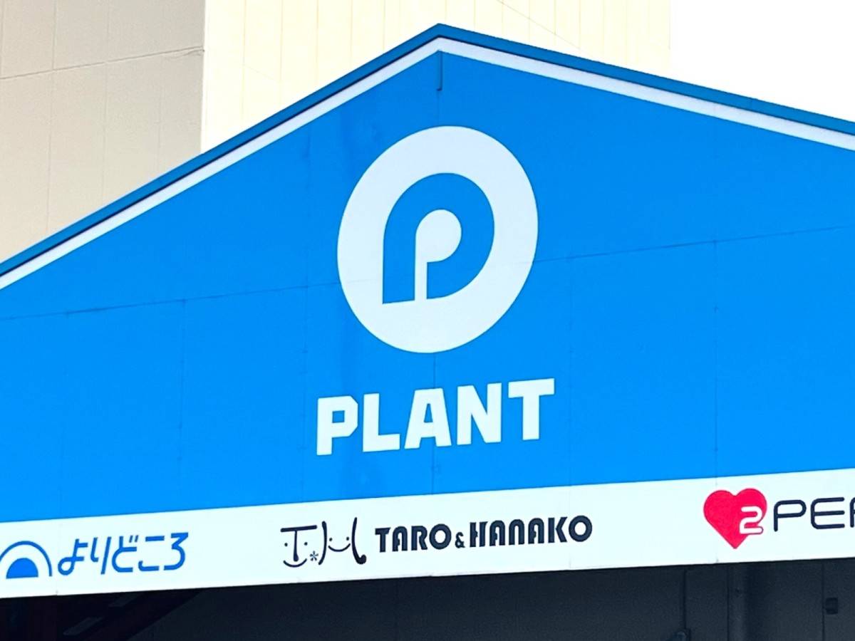 感動するほど美味しいよ……