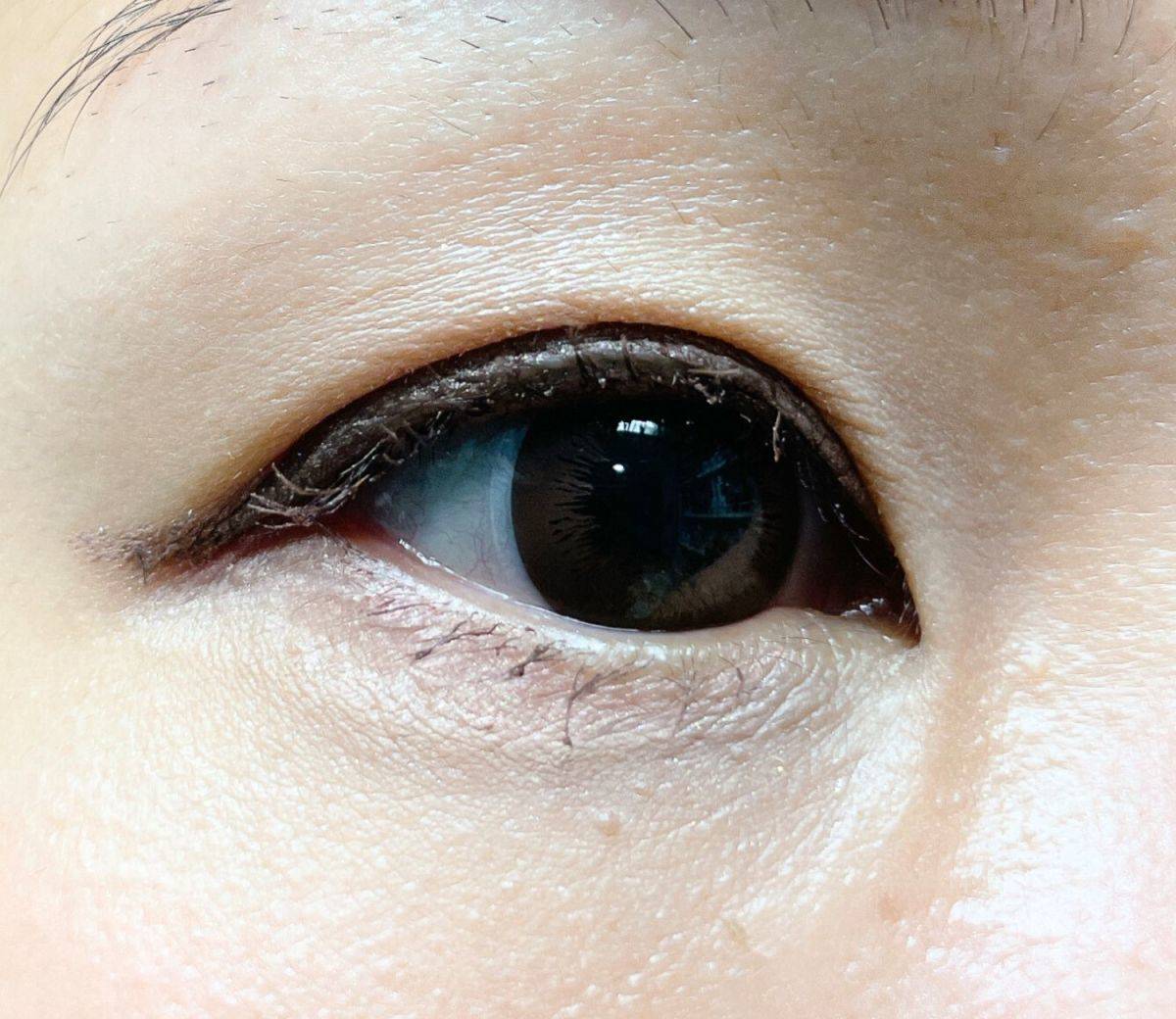 OPERAアイライン使用感