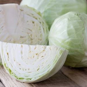  キャベツ 
