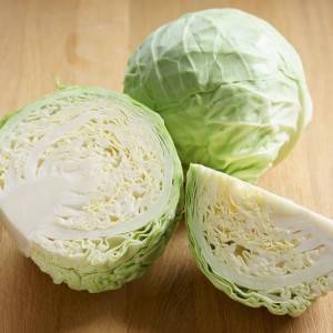  キャベツ 