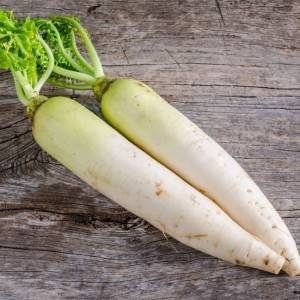 大根 
