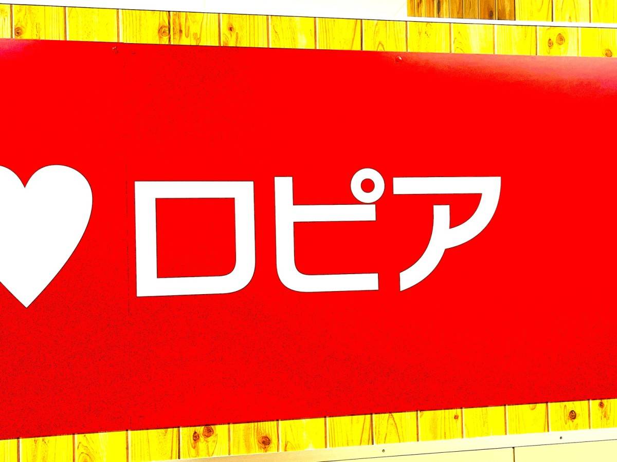 想像以上のクオリティの高さだよ！