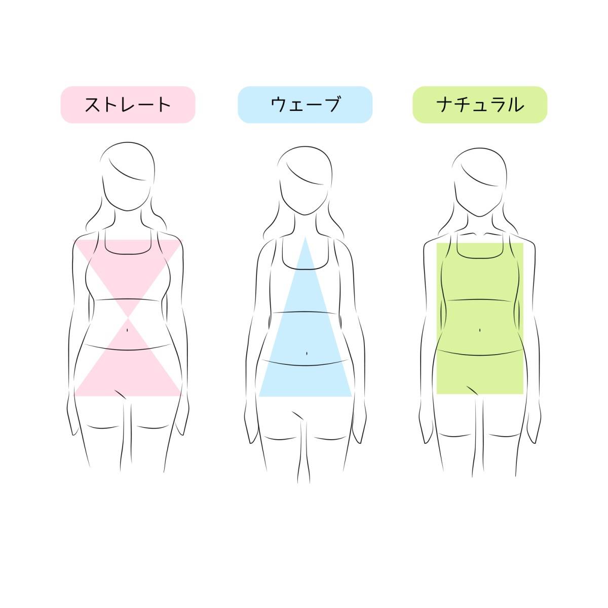 骨格タイプ診断のイラスト
