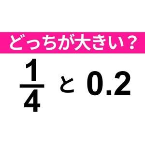 1/4と0.2 