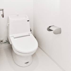 実は風水的に最高らしい。トイレに置くと良縁を引き寄せるアイテム5選