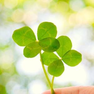 超超超大吉日【2月11日(水)】が到来する。運を引き寄せる方法は？