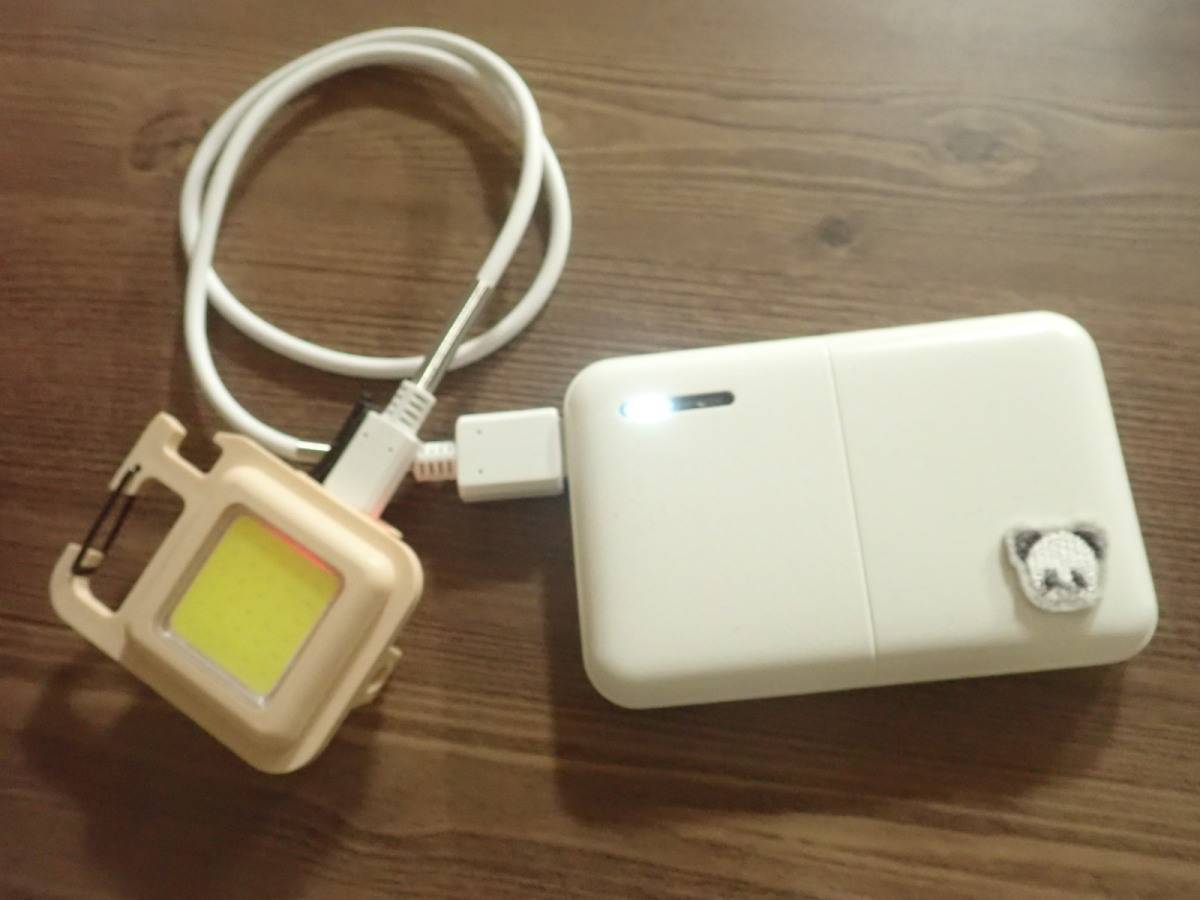 ダイソーのType-Cケーブル(断線防止スプリング付)