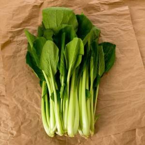  小松菜 