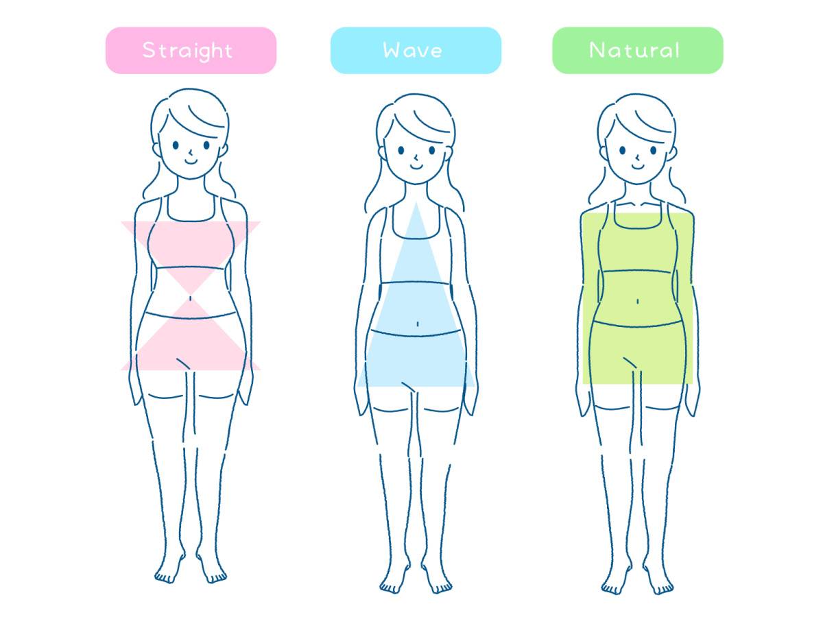 骨格タイプ診断のイラスト