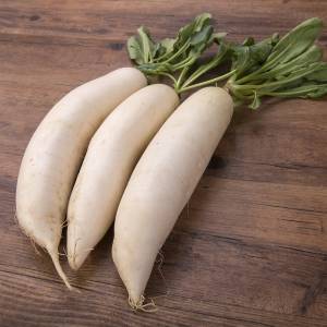 大根 