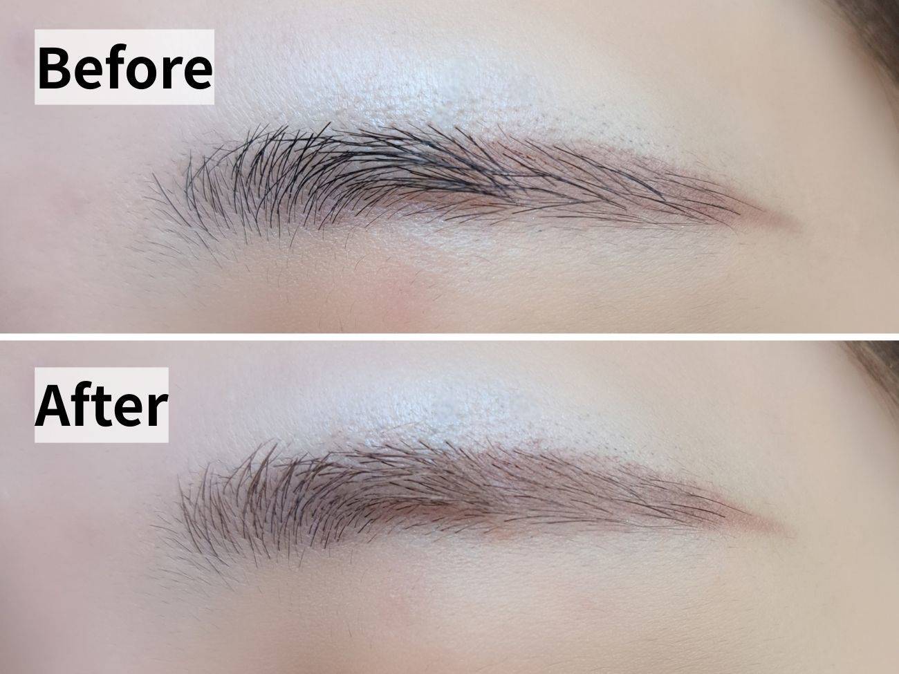 Elégance(エレガンス) フロッキー アイブロウ マスカラ WN50の仕上がりビフォーアフター比較画像