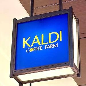 ほぼお店の味だわ……。【カルディ】鬼のようにウマい人気商品みつけた