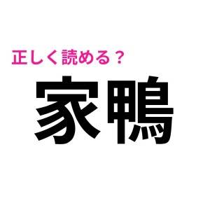 今までずっと読み間違えてとか、恥ずかしすぎる……。簡単そうで読めない漢字9選
