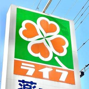 実は鬼リピしてる。【ライフ】の人気商品がびっくりするほどウマいよ