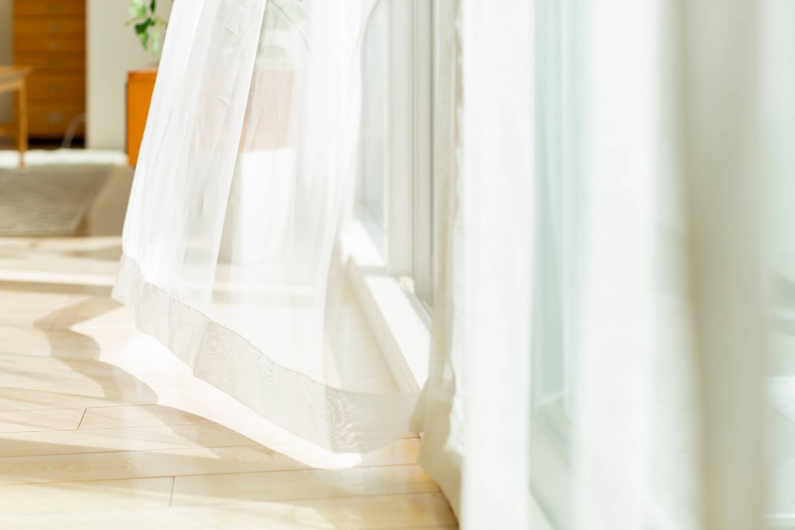 東　勝負運　上げる　レースカーテン