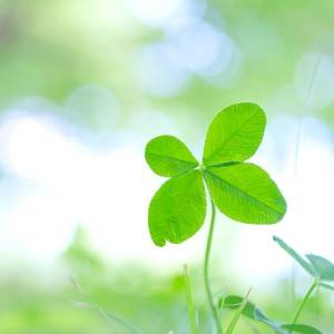 大吉日【2月24日(火)】がやってくる。幸運を逃すNG行動に注意！