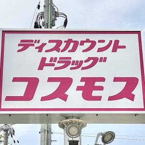 言葉にならないほど旨い。【コスモス】週5で食べたくなる人気商品3選