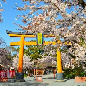 超大吉日【3月4日(水)】がやってくる！運を味方につけるための行動は？