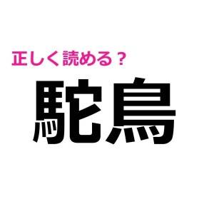しれっと読めた人、さすがの一言です……。正答率がかなり低い漢字9選