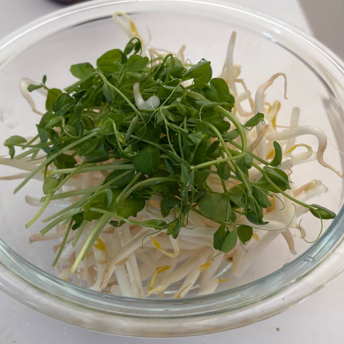 JAグループ公式の「❤もやしとキャベツと花小エビのとりあえず❤」のレシピ