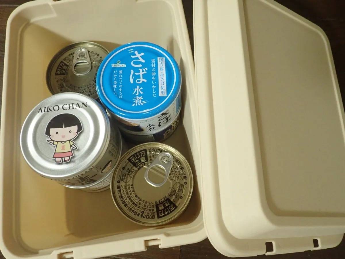 DAISO(ダイソー):環境にやさしいコンテナボックス 3L