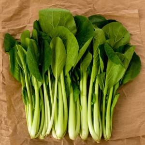  小松菜 