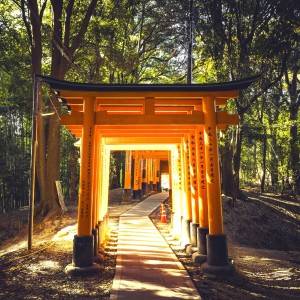 大大大吉日【3月22日(日)】 が到来！ただし避けるべきNG行動もあり