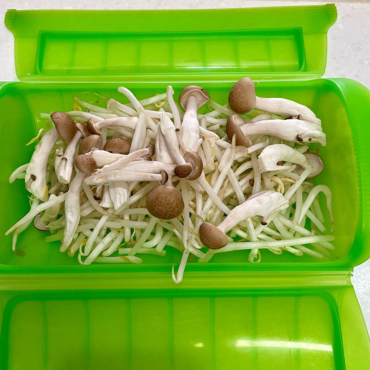 JAグループ公式の「しめじともやしの胡麻和え」のレシピ