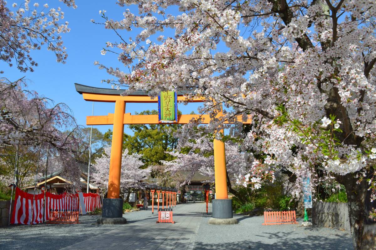開運日　2026年4月8日(水)