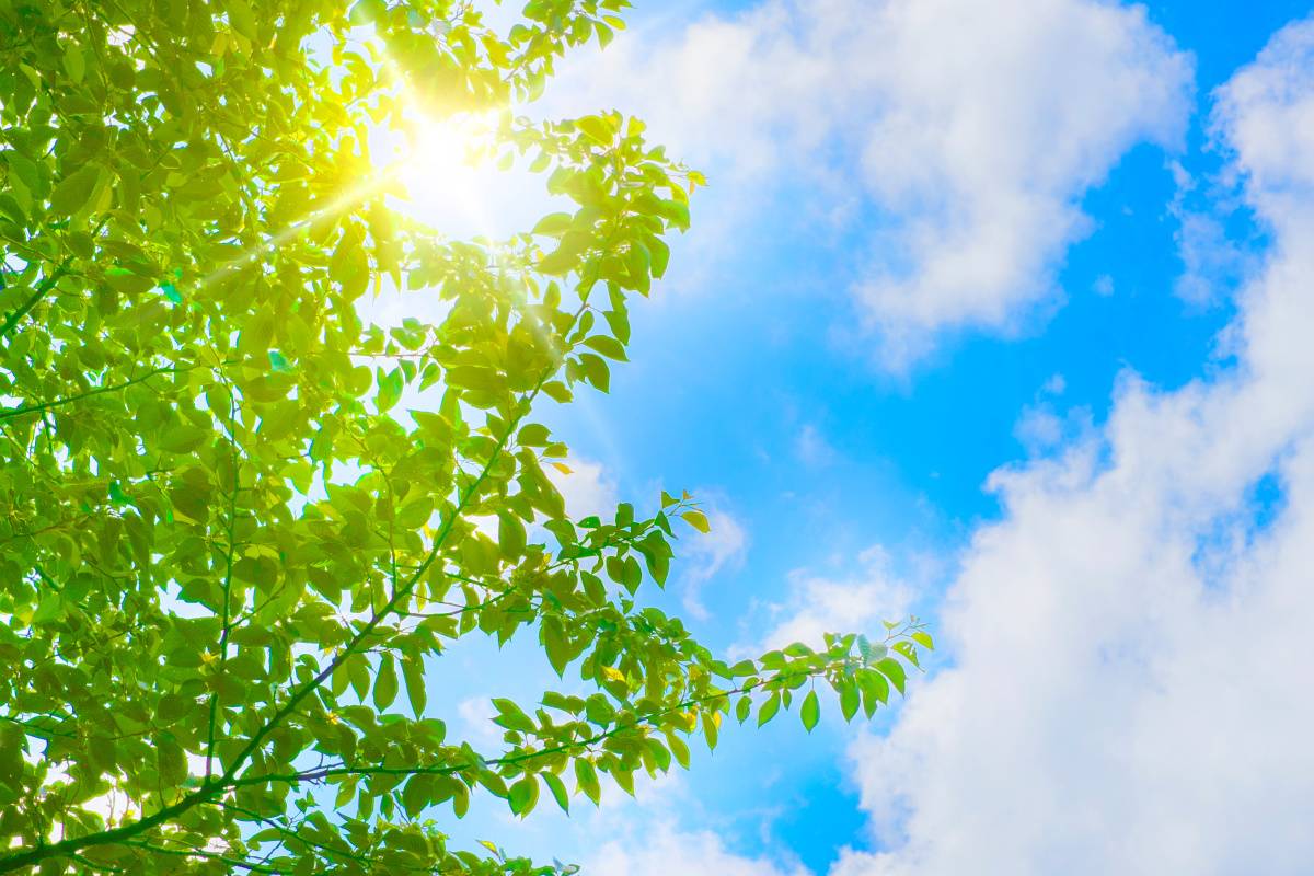 運を引き寄せるアクション