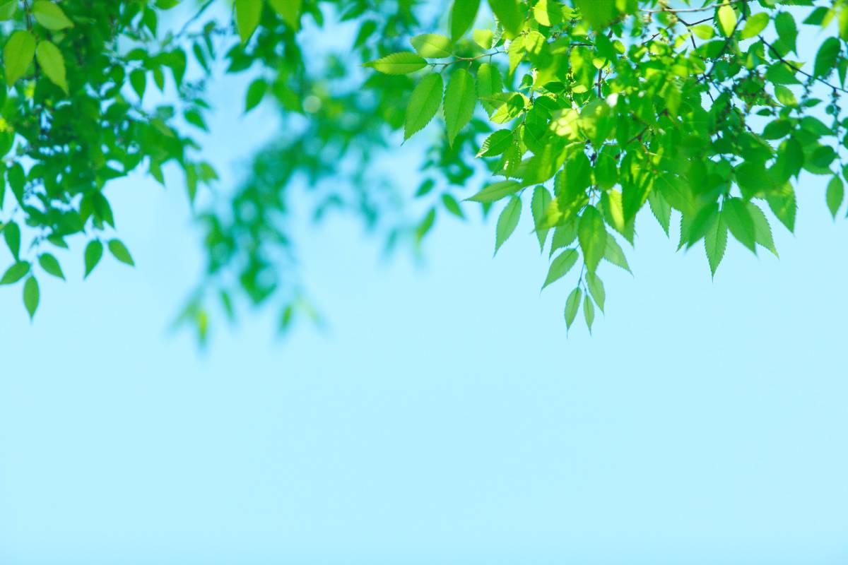 2026年3月31日(火)　開運日