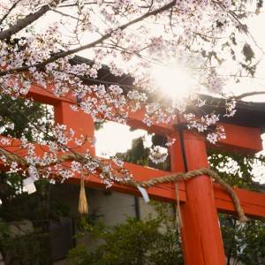 最強大吉日【3月29日(日)】がやってくる。注意が必要なNG行動とは？