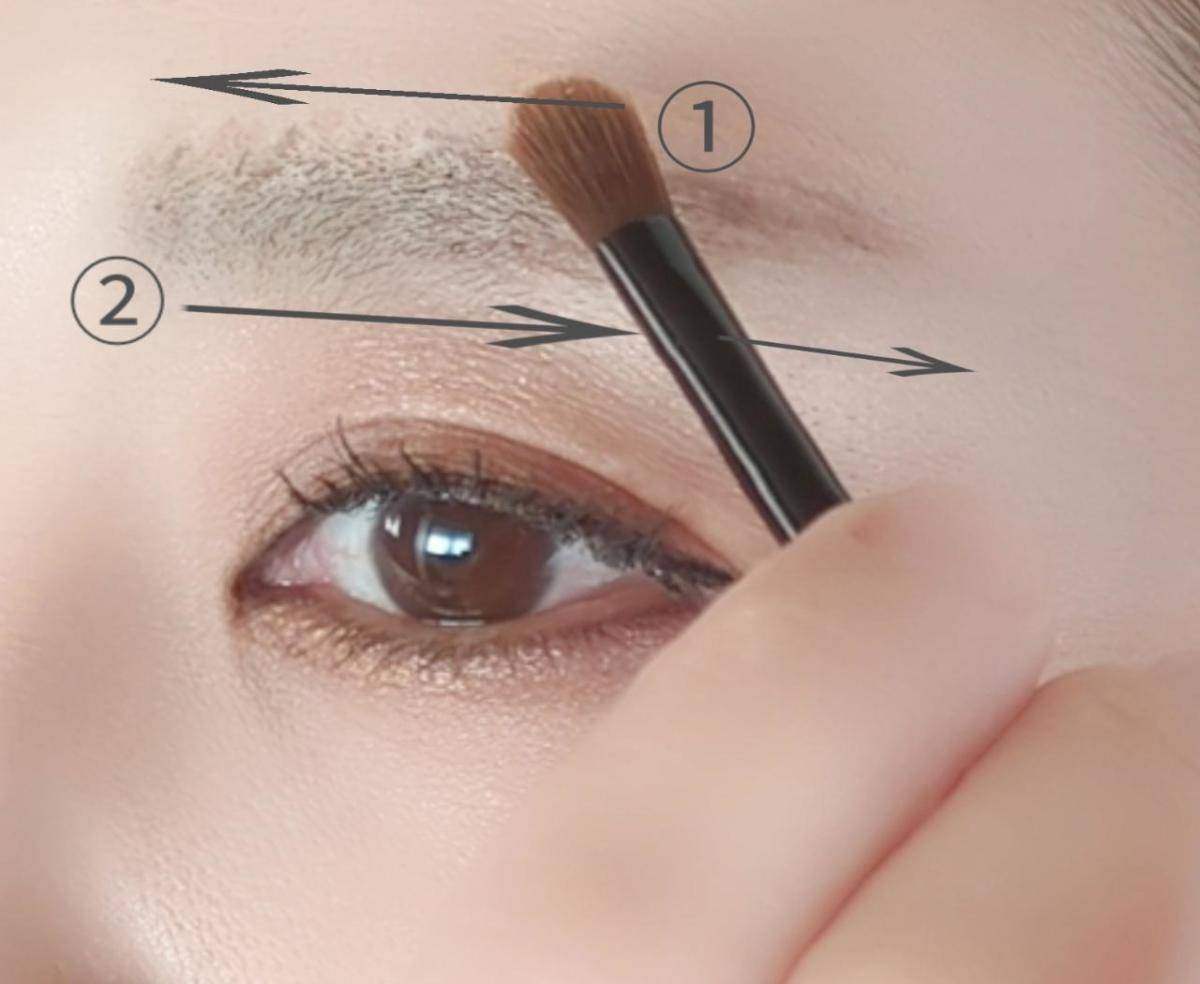 セザンヌアイブロウ＆シェードパウダー中間色のせる順番