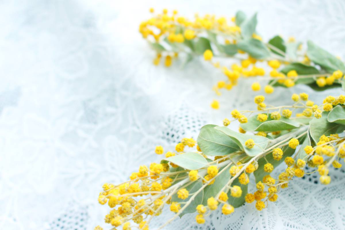 南西　対人運　上がる　花