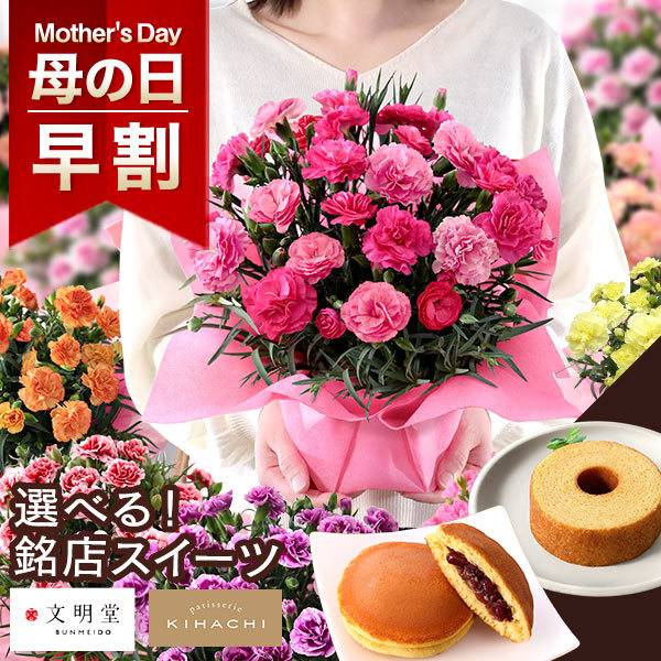 BunBun!Bee カーネーション 人気銘店スイーツセット