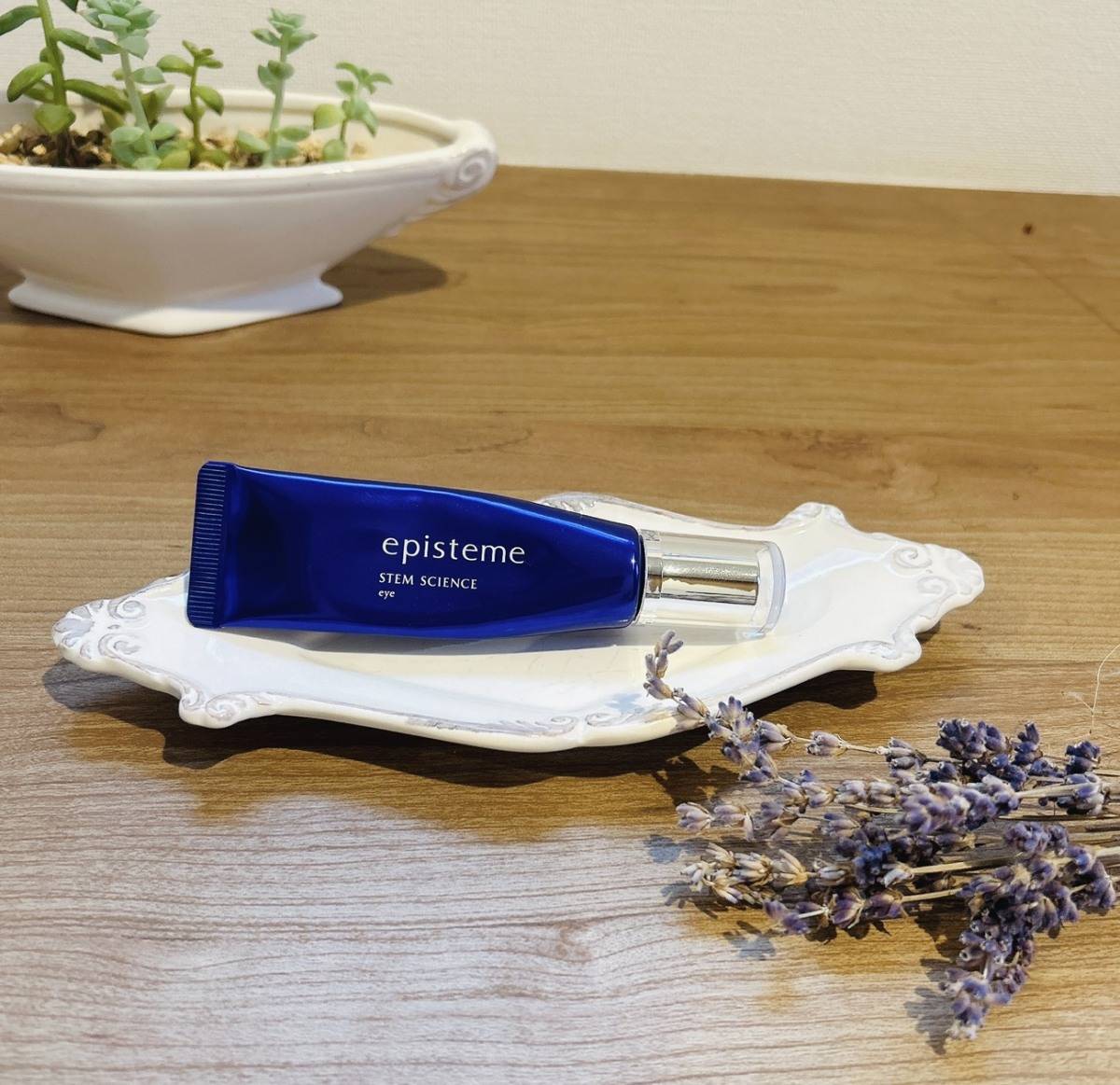 エピステーム ステムサイエンスアイ