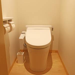 実は風水的に大凶です。トイレにあると家庭運がガクッと下がるもの5選