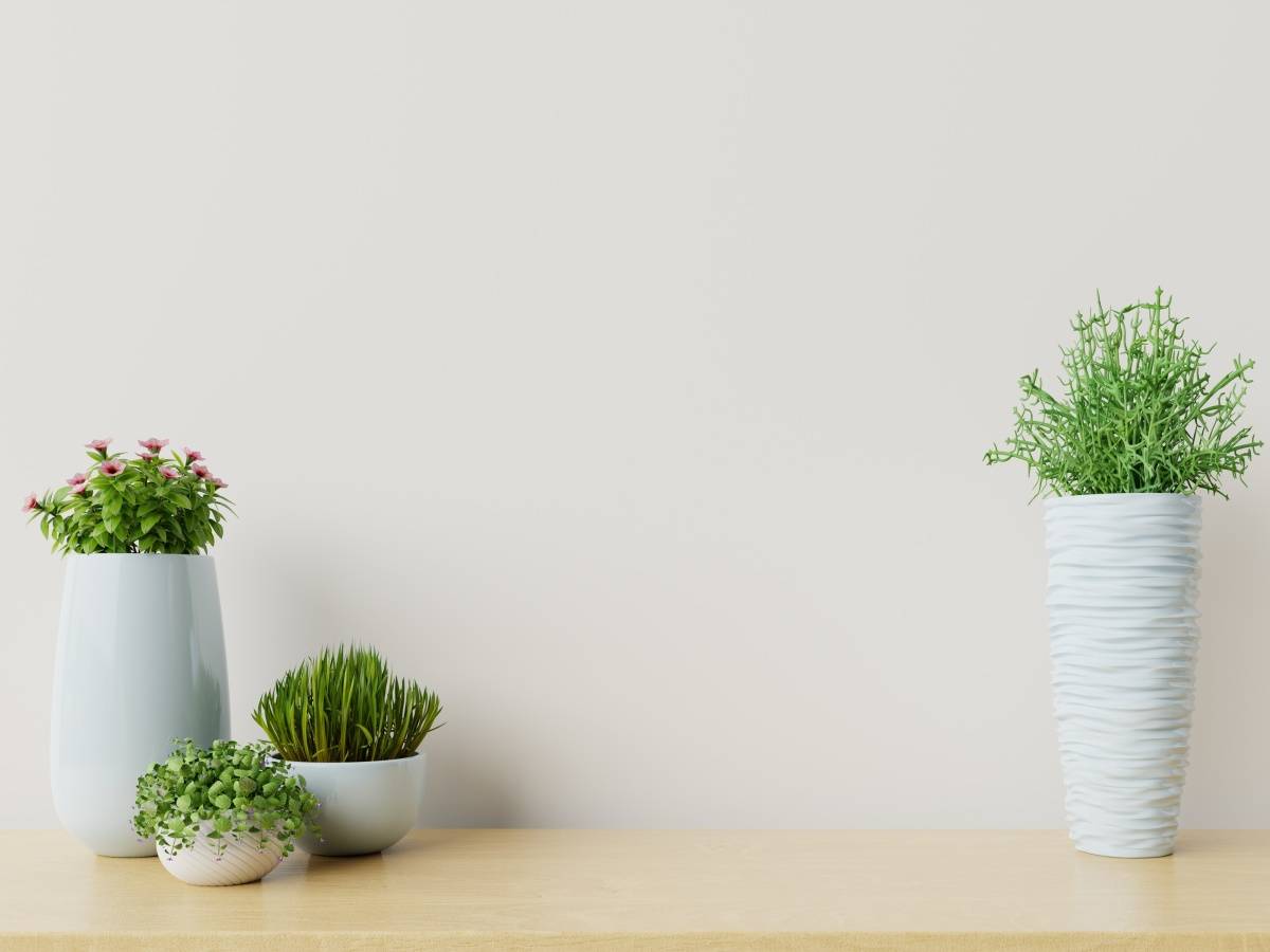 廊下　家庭運　上がる　観葉植物