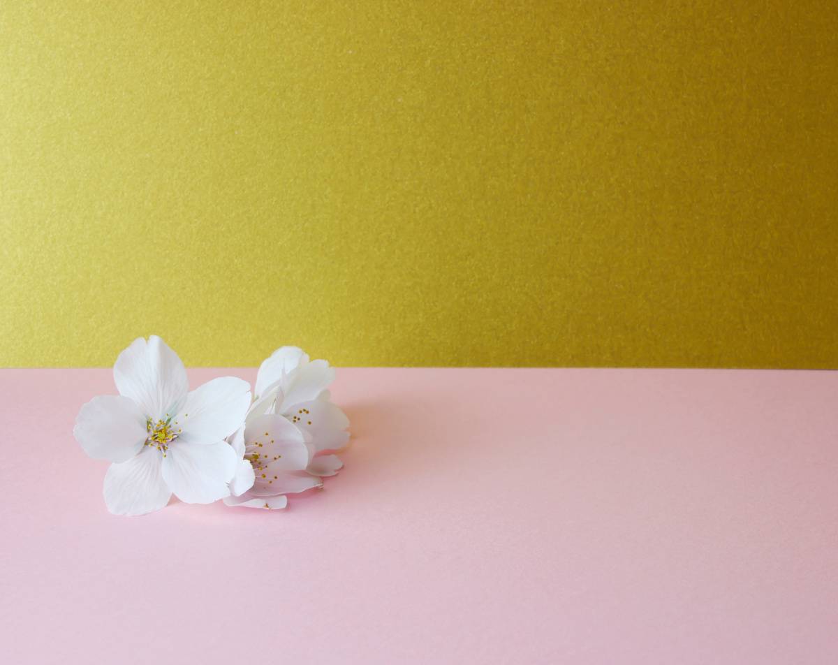 玄関 出世運 上がる 季節のアイテム