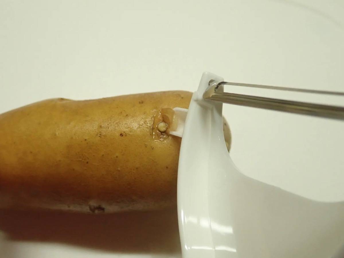 DAISO(ダイソー)：多機能ピーラー(ホワイト)