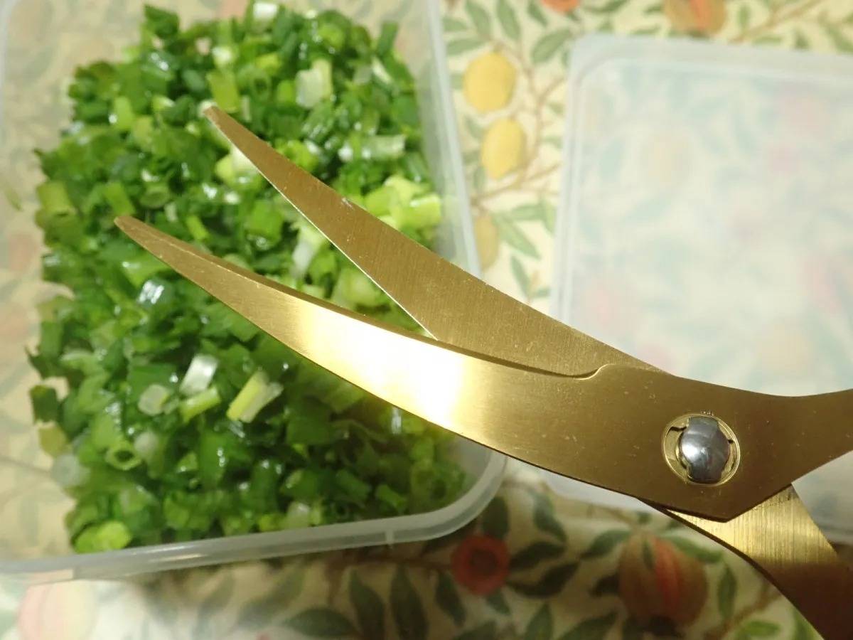 DAISO(ダイソー)：カーブキッチンバサミ(チタンコーティング)