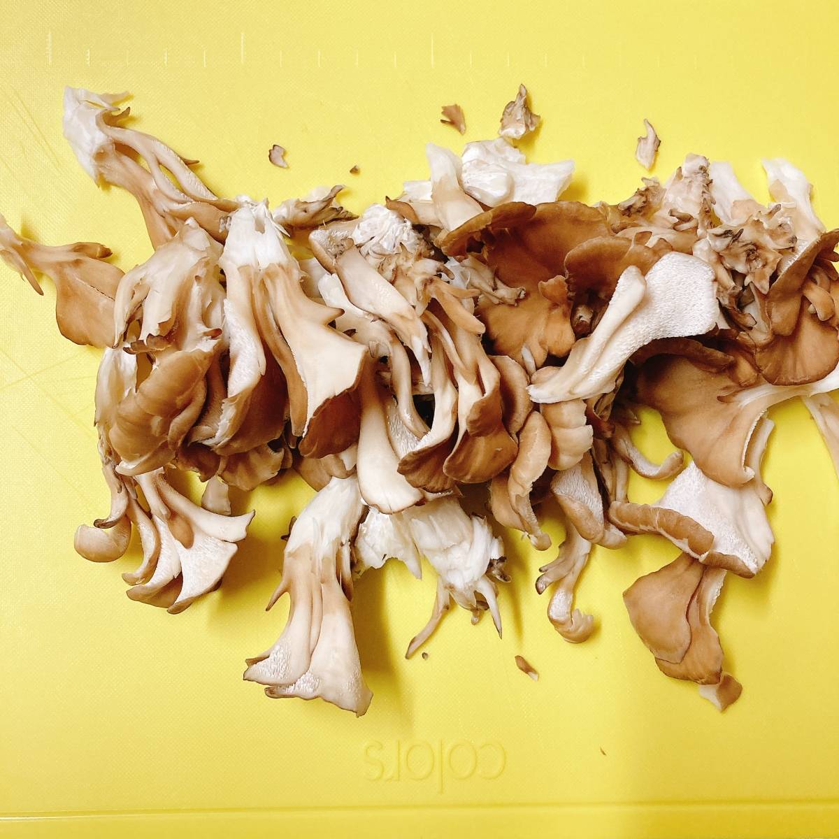 JAグループ公式の「グリルパンで、きのこのバジルペーストチーズ焼き」のレシピ