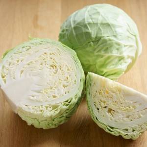  春キャベツ 