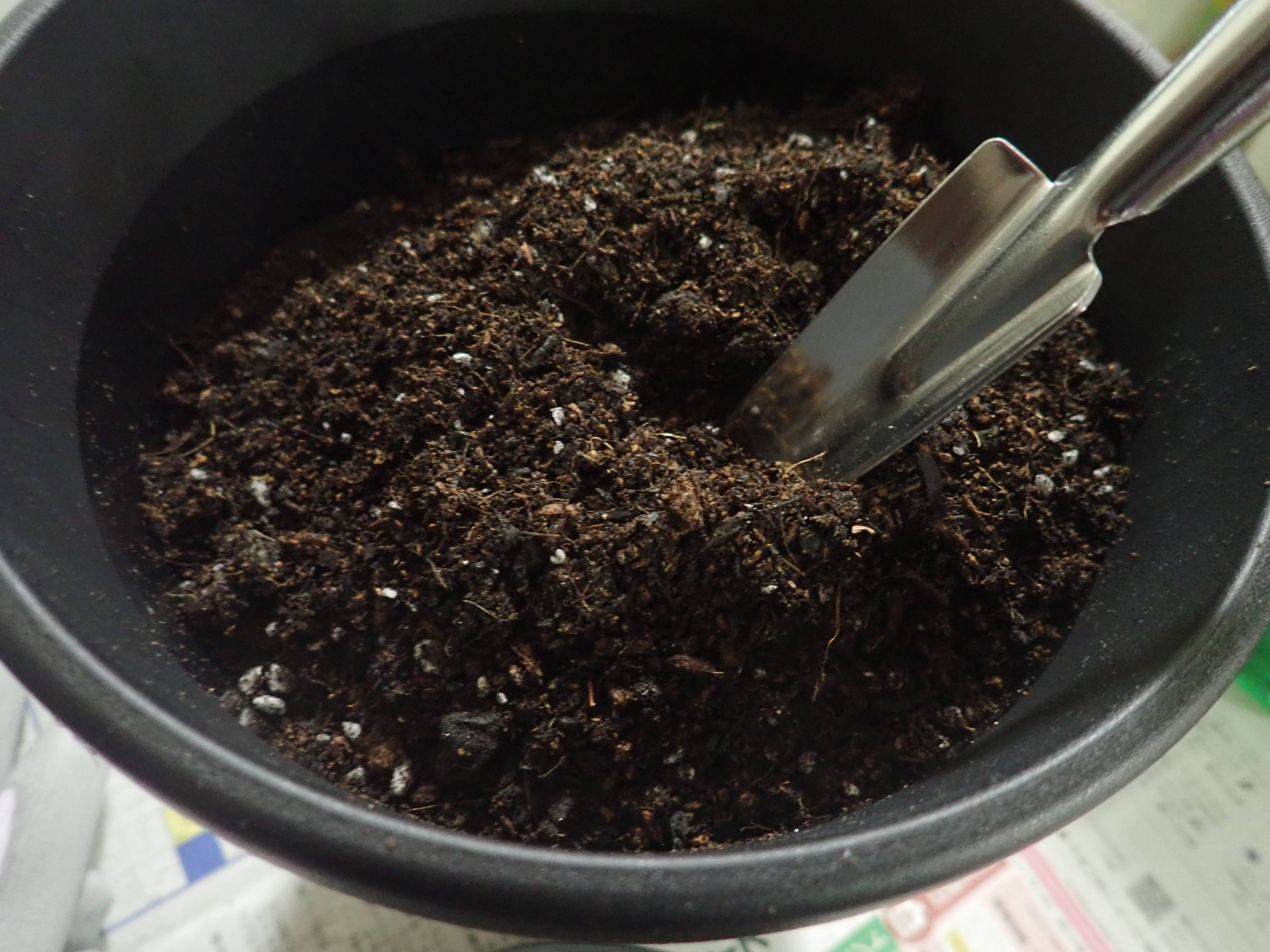 ダイソーのプランタースコップ細