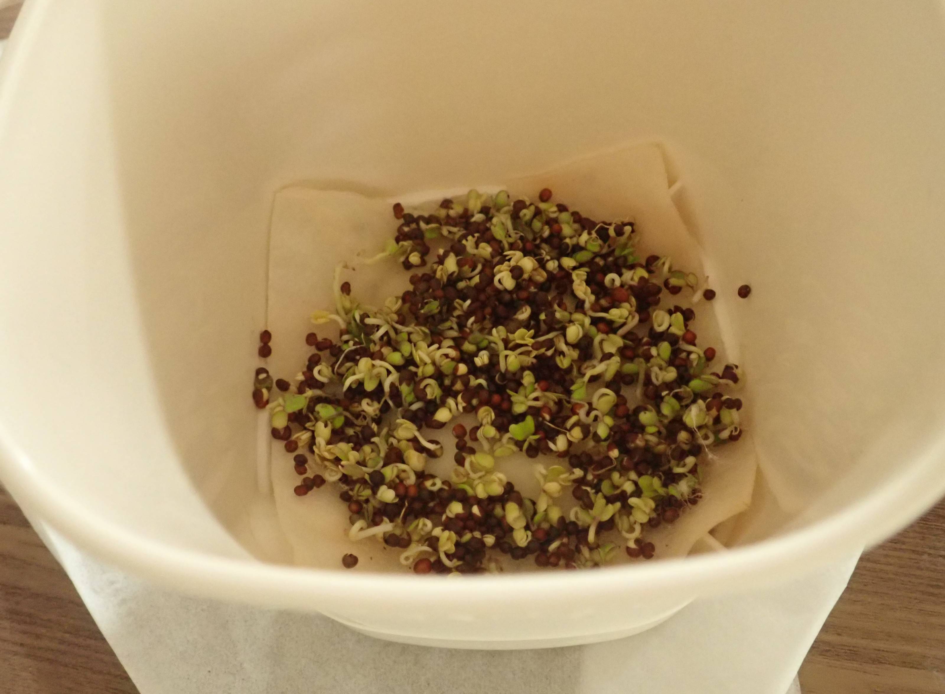 ダイソーのバスケットポット アイボリー