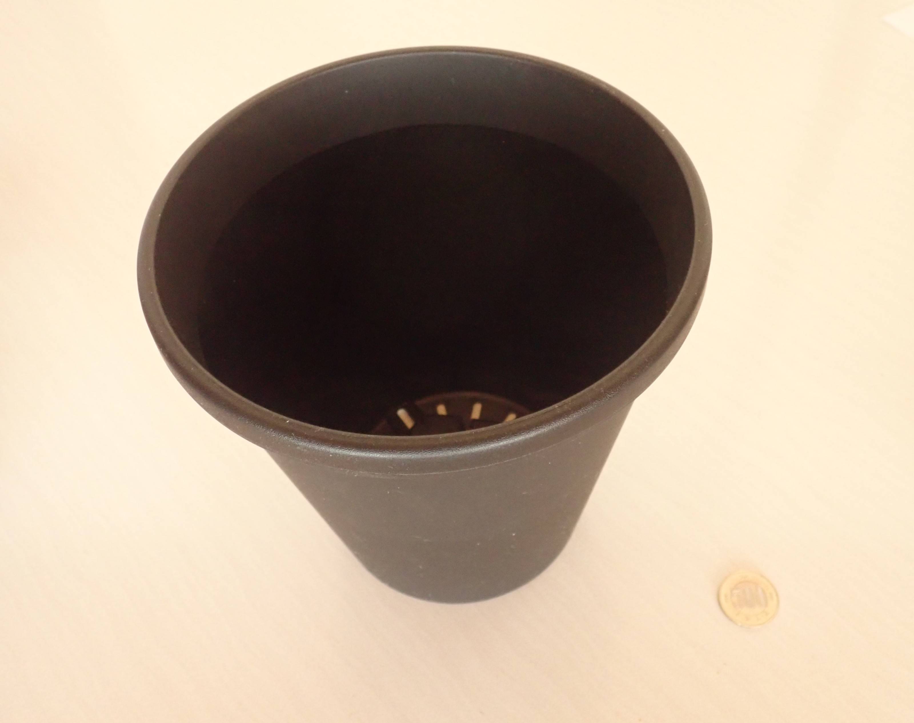 ダイソーのプラ植木鉢(6号、直径17.9cm、ブラック)