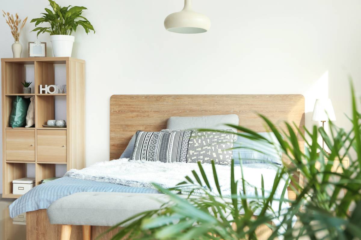 寝室　出世運　上がる　観葉植物