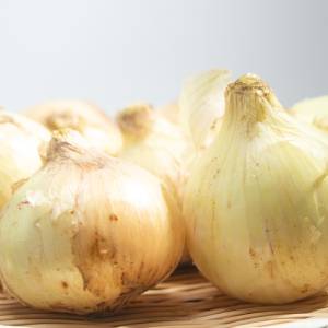  新玉ねぎ 